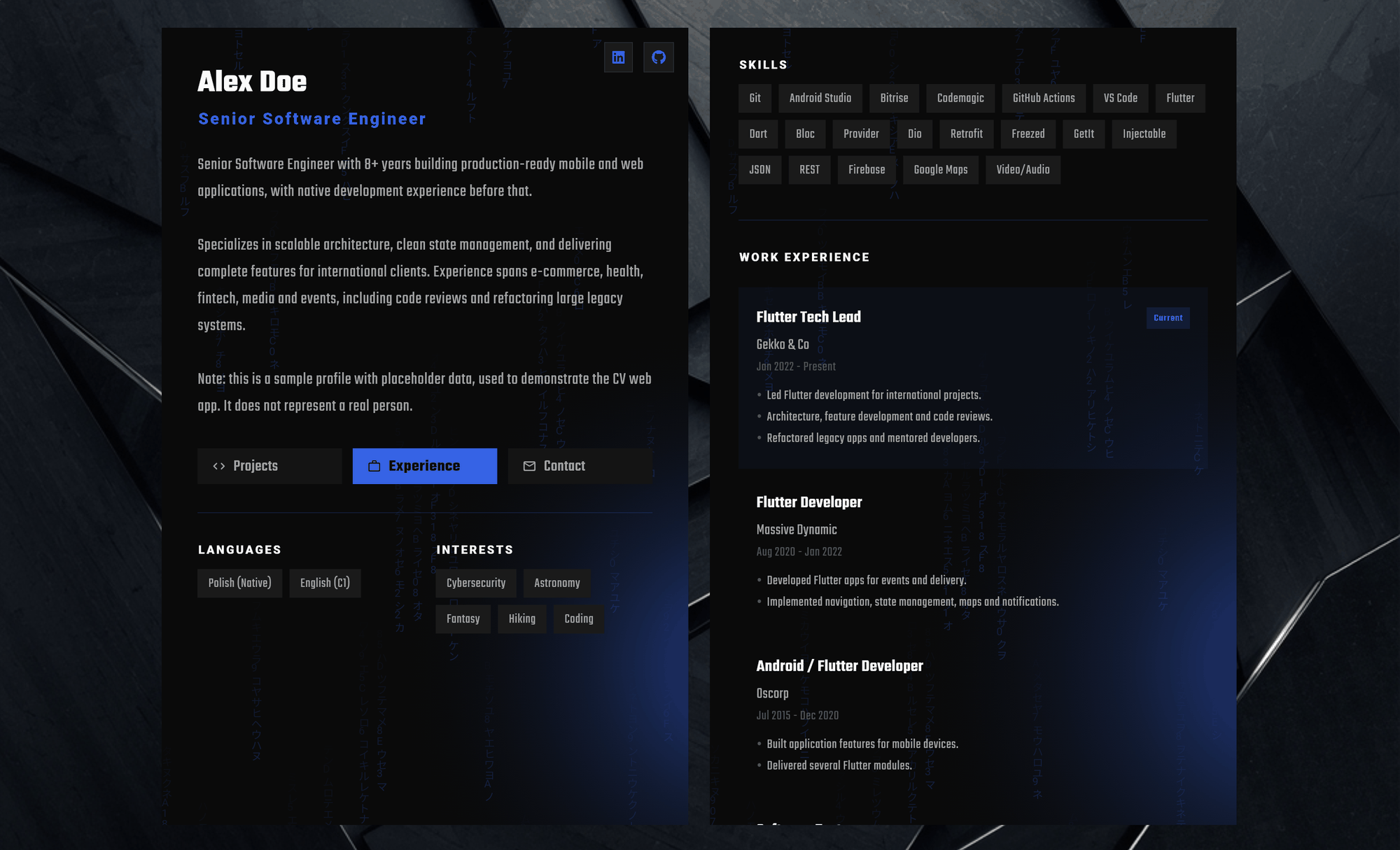 CV web app - sample profile with skills and work experience